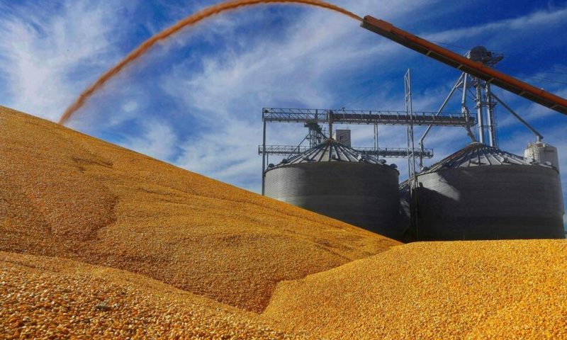 Mexico Softens Plan to Ban Imports of US GM Feed Corn