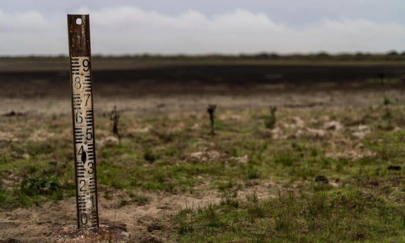 EU Warns Spain Over Expanding Irrigation Near Prized Wetland