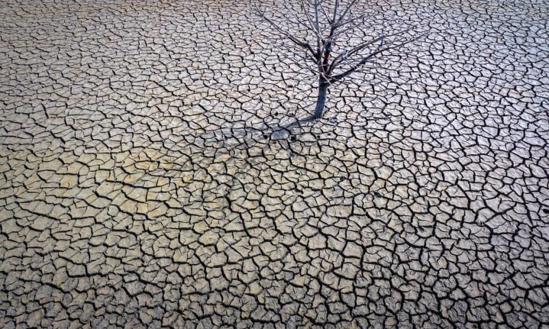 Spain Pleads for EU Crisis Funds as Drought Hits Farmers