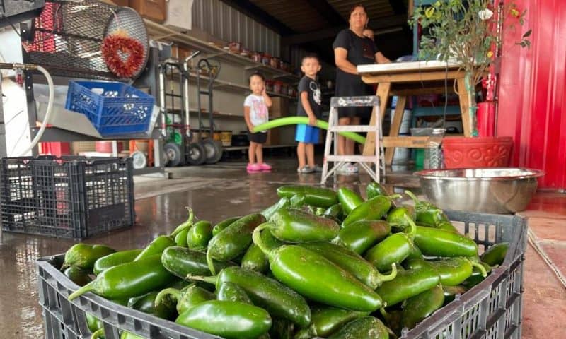 Get It While It’s Hot: New Mexico Boosts Chile Production