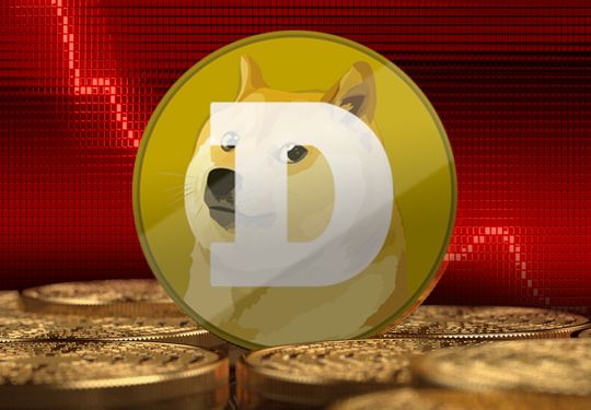 Dogecoin falls after Twitter switches out Shiba Inu image to bird logo