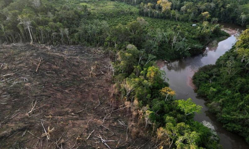 EU Countries Adopt Law Banning Products Which Fuel Deforestation