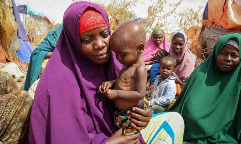 UN: 258 Million People Faced Acute Food Insecurity in 2022