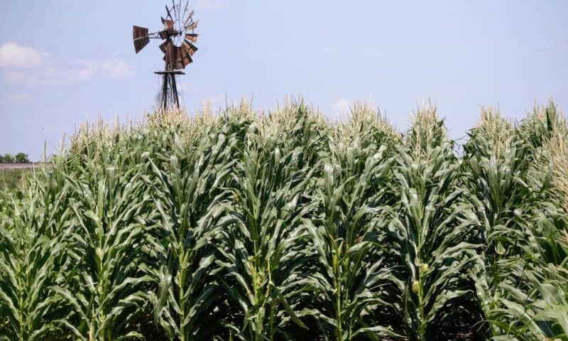 Bunge to Buy Viterra in $18 Billion Deal That Would Create an Agricultural Powerhouse