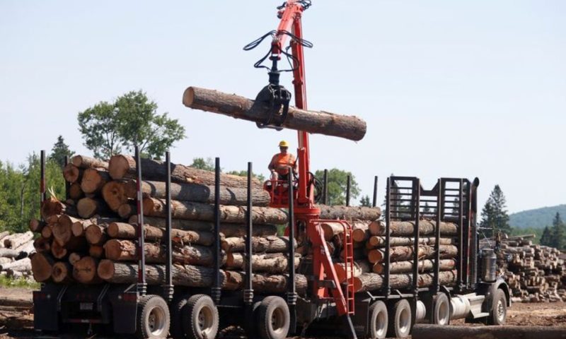Canada Says It Is Disappointed by US Decision to Maintain Lumber Duties