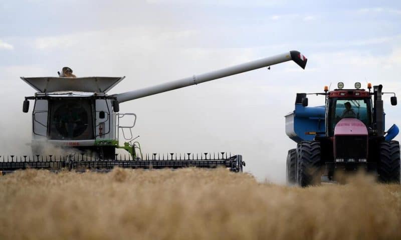 China Reopens Trade in Australian Barley in a New Sign of Improved Relations