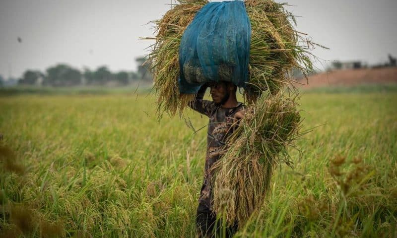 India Shows an Impressive 7.8% Economic Growth in April-June Quarter