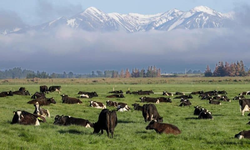 New Zealand Economy to Remain Sluggish for 2 Years, Although Doing Better Than Feared, Figures Show