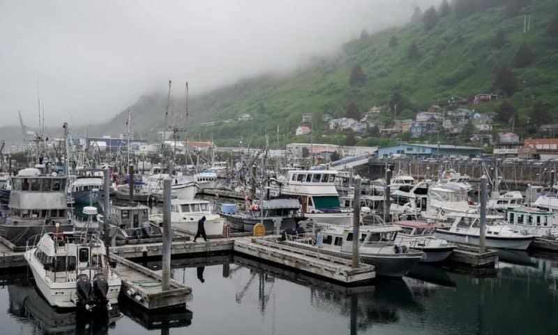 Alaska Fishers Fear Another Bleak Season as Crab Populations Dwindle in Warming Waters