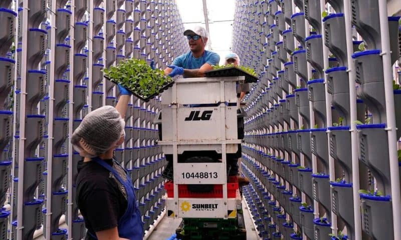 Lots of Indoor Farms Are Shutting Down as Their Businesses Struggle. So Why Are More Being Built?