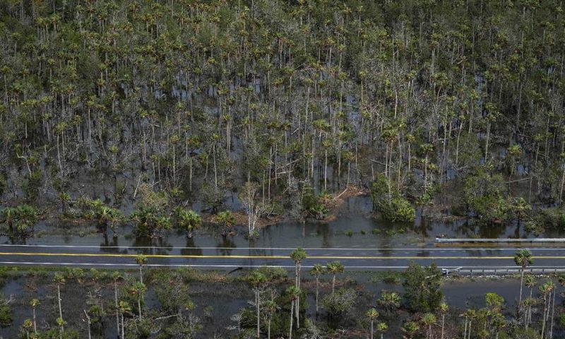 Florida Agriculture Losses Between $78M and $371M From Hurricane Idalia, Preliminary Estimate Says