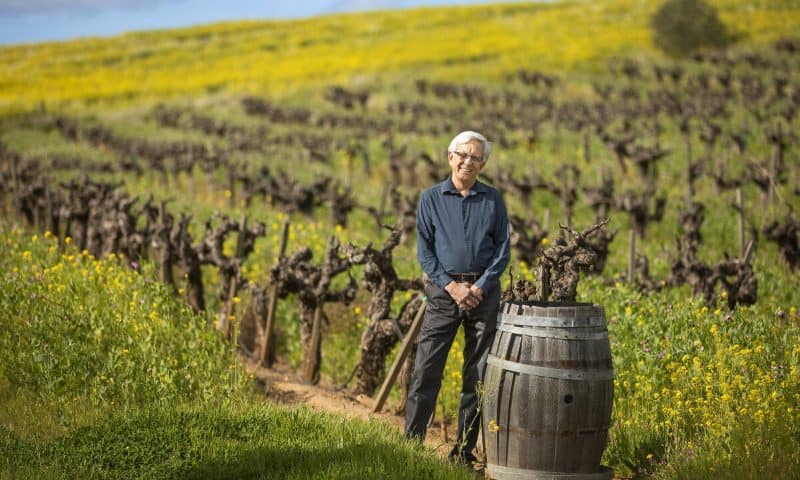 Vintage Wine Estates Shares Rise 5% After Guidance Revision, Results Restated