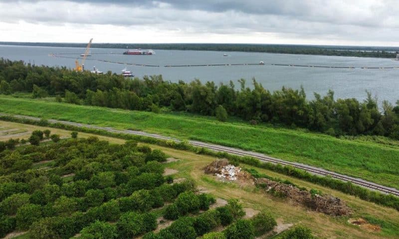 Louisiana Citrus Farmers Are Seeing a Mass Influx of Salt Water That Could Threaten Seedlings