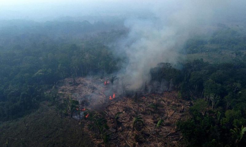 As Rainforests Worldwide Disappear, Burn and Degrade, a Summit to Protect Them Opens in Brazzaville