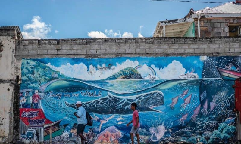 Caribbean Island of Dominica Creates World’s First Marine Protected Area for Endangered Sperm Whale