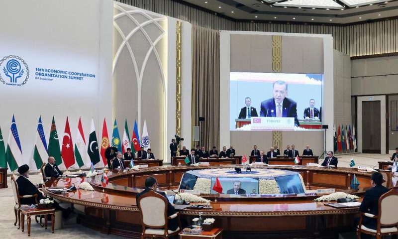 Uzbekistan Hosts Summit of Regional Economic Alliance