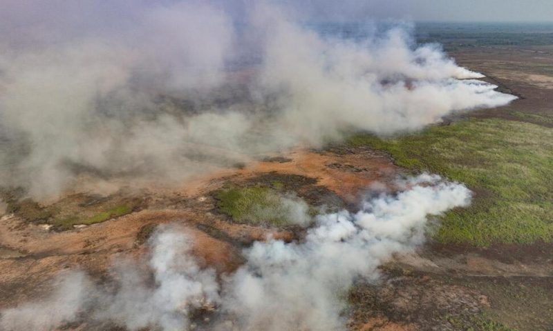 Fires in Brazil Threaten Jaguars, Houses and Plants in the World’s Largest Tropical Wetlands