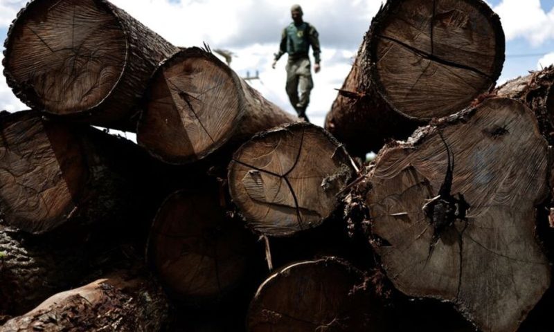 Brazil Could Reach Historic Low Deforestation in 1-2 Years, Official Says