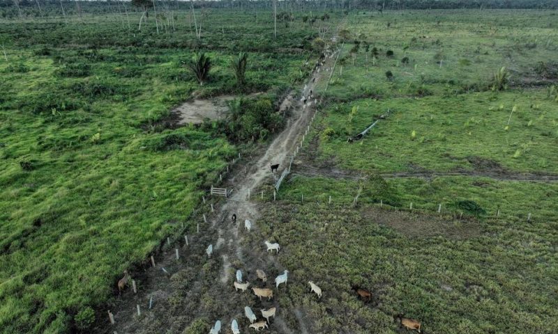 Brazil Lawsuits Link JBS to Destruction of Amazon in Protected Area, Seek Millions in Damages