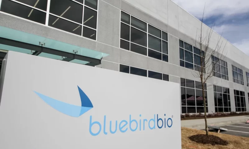 Bluebird Bio Shares Fall 13% After Disclosing Stock Offering