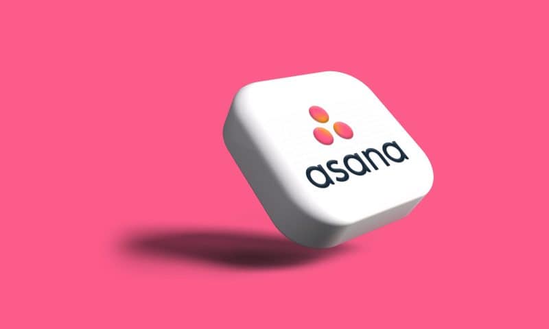 Asana, Inc. (NYSE:ASAN) CFO Sells $95,250.00 in Stock