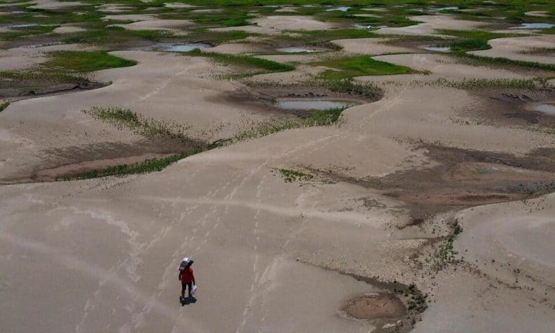 Global Warming Was Primary Cause of Unprecedented Amazon Drought, Study Finds