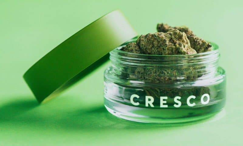 Cresco Labs Inc. (OTCMKTS:CRLBF) Short Interest Down 8.1% in December