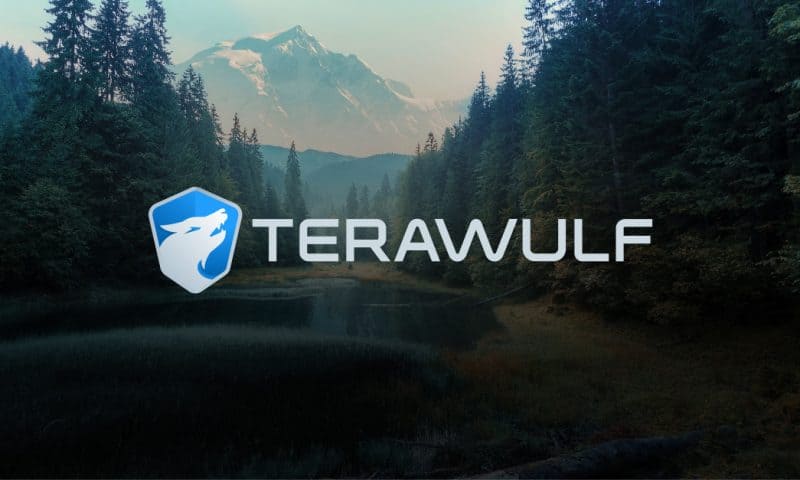 Investors Purchase Large Volume of TeraWulf Call Options (NASDAQ:WULF)