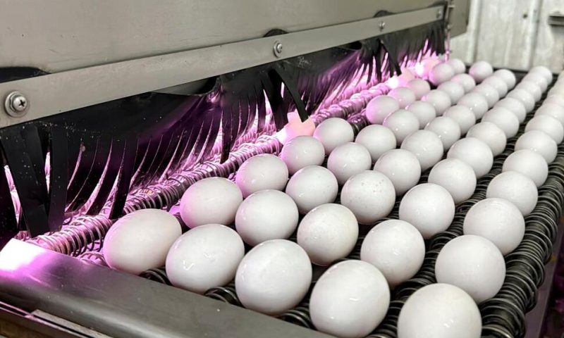 Bird Flu, Weather and Inflation Conspire to Keep Egg Prices Near Historic Highs for Easter