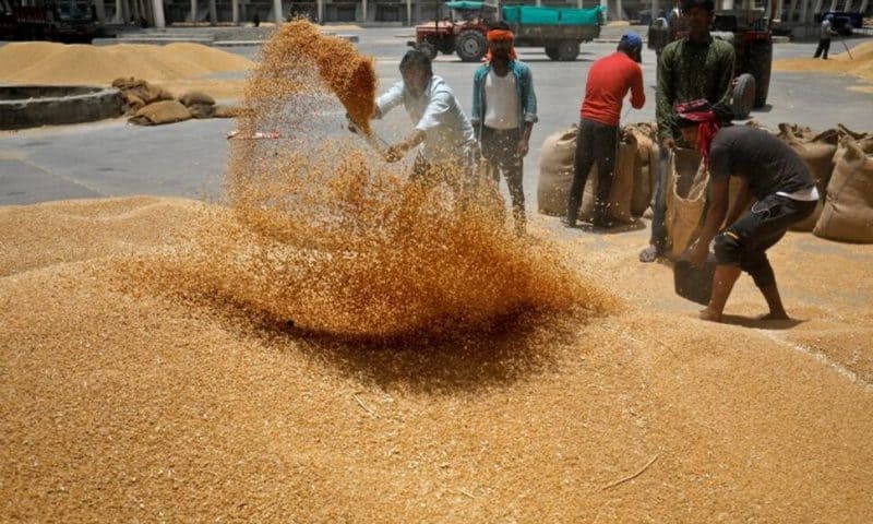 World Food Price Index Falls in February for Seventh Straight Month, Says UN Agency