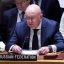 Russia Blocks Renewal of North Korea Sanctions Monitors