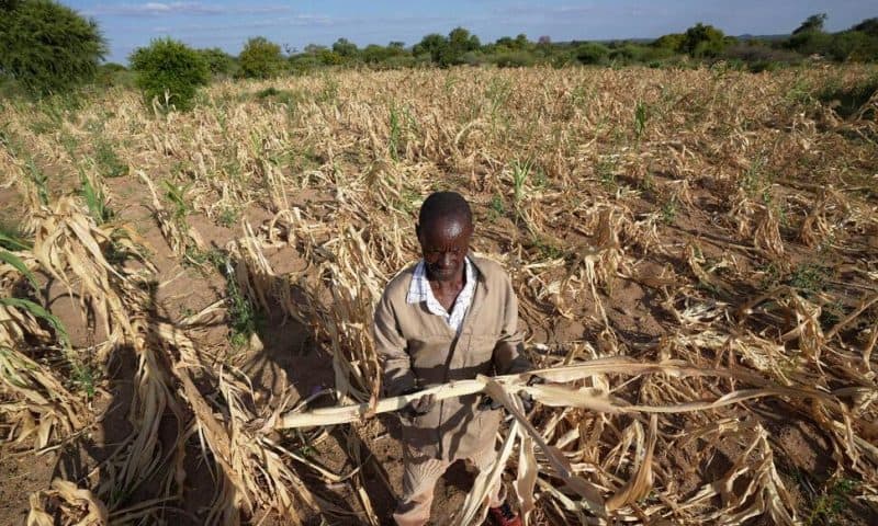 Extreme Drought in Southern Africa Leaves Millions Hungry