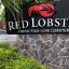 Red Lobster Closes Dozens of Locations Across the US Just Months After ‘Endless Shrimp’ Losses