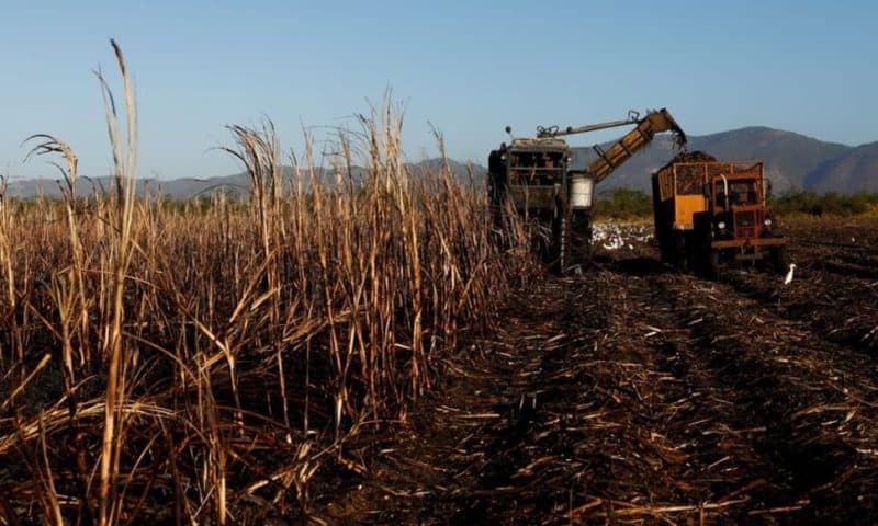 Cuba May Import Sugar, Rum Industry Pressed Amid Disastrous Harvest