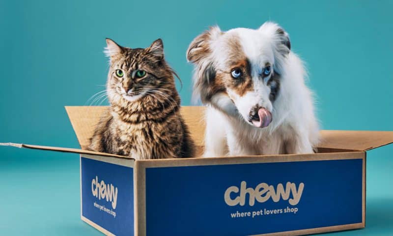 Chewy (NYSE:CHWY) Shares Up 6.6%