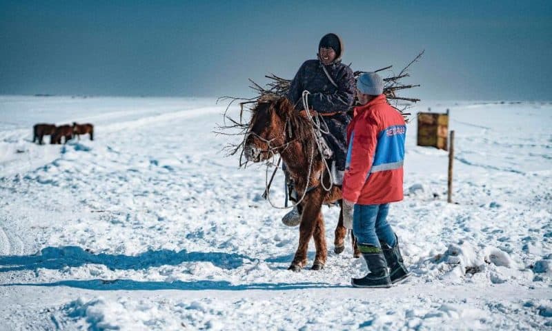 Heavy Snows and Drought of Deadly ‘Dzud’ Kill More Than 7 Million Head of Livestock in Mongolia