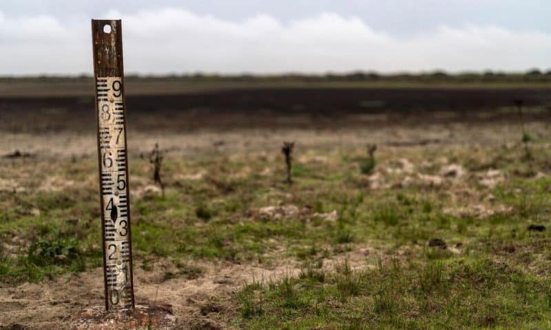 Landmark EU Nature Restoration Plan Gets the Green Light Despite Months of Protests by Farmers