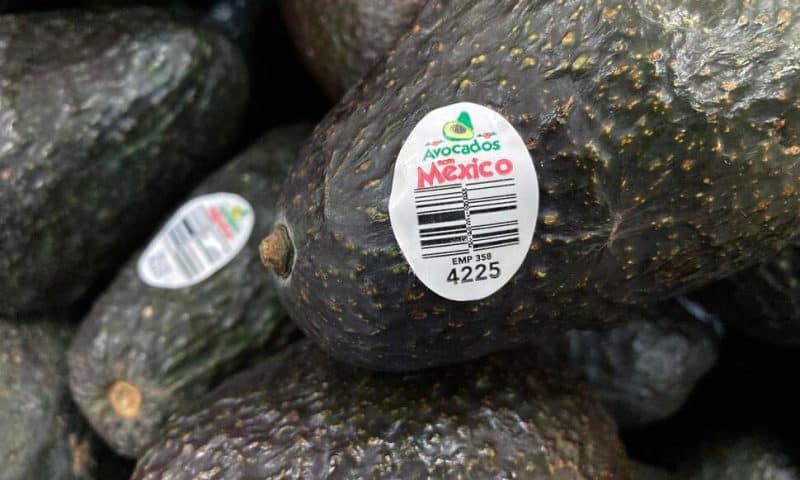 US Will Gradually Resume Avocado Inspections in Conflictive Mexican State, Ambassador Says