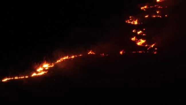 Fires in Brazil Wetlands Surge to Record Start in 2024