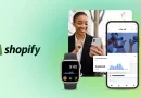 Shopify (NYSE:SHOP) Stock Price Down 0.3%