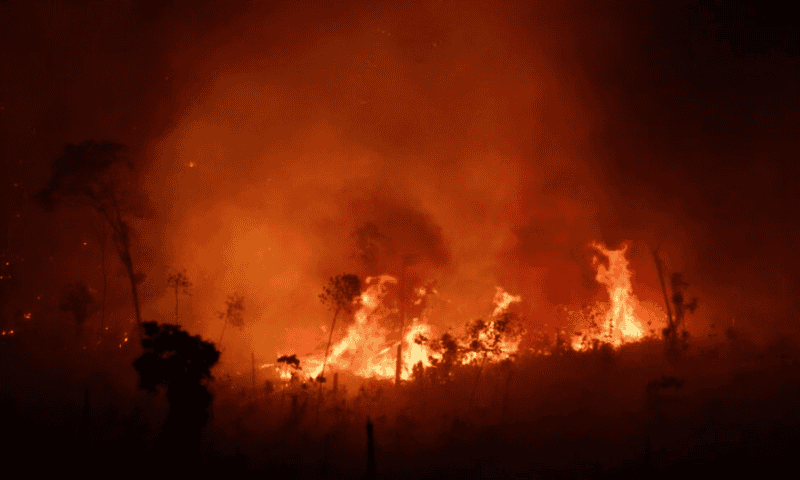 Fires in Brazil’s Amazon Rainforest for July Surge to Highest in Two Decades