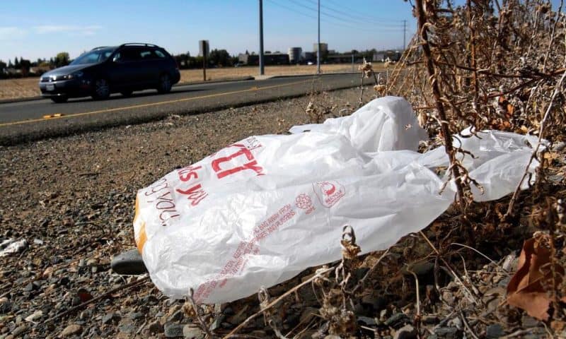 California Governor Signs Law Banning All Plastic Shopping Bags at Grocery Stores