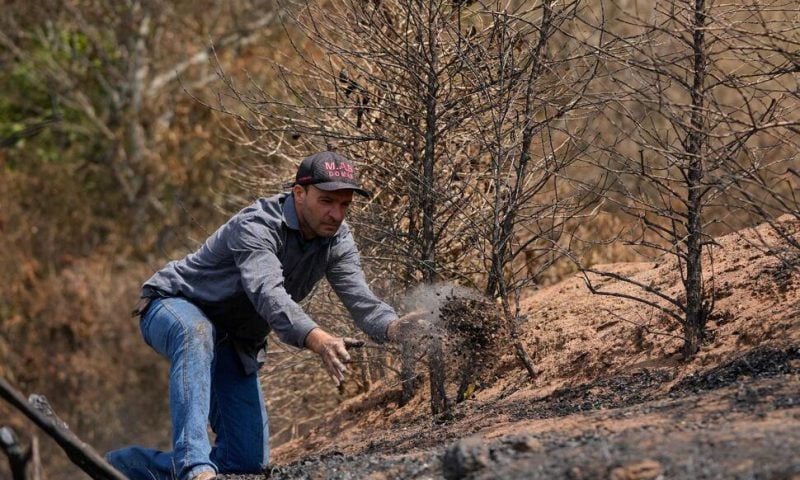 Brazil Drought Punishes Coffee Farms and Threatens to Push Prices Even Higher