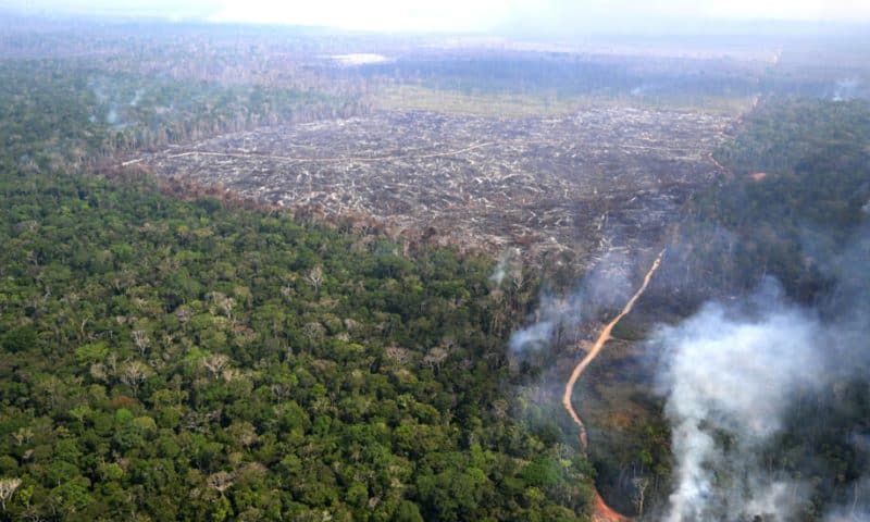 Brazil urges EU to suspend ‘punitive’ anti-deforestation law