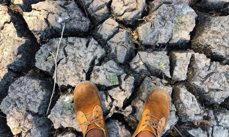 Southern Africa Is Enduring Its Worst Hunger Crisis in Decades Due to El Niño, the UN Says