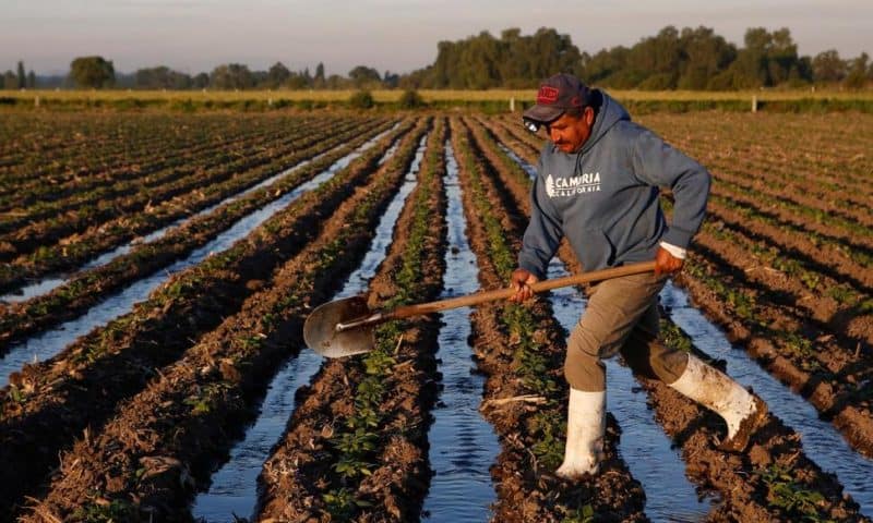 Mexico Announces Food and Agriculture Plan That Could Take the Country Back to the 1980s