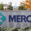 Merck & Co., Inc. (NYSE:MRK) Shares Up 0.3% – Should You Buy?