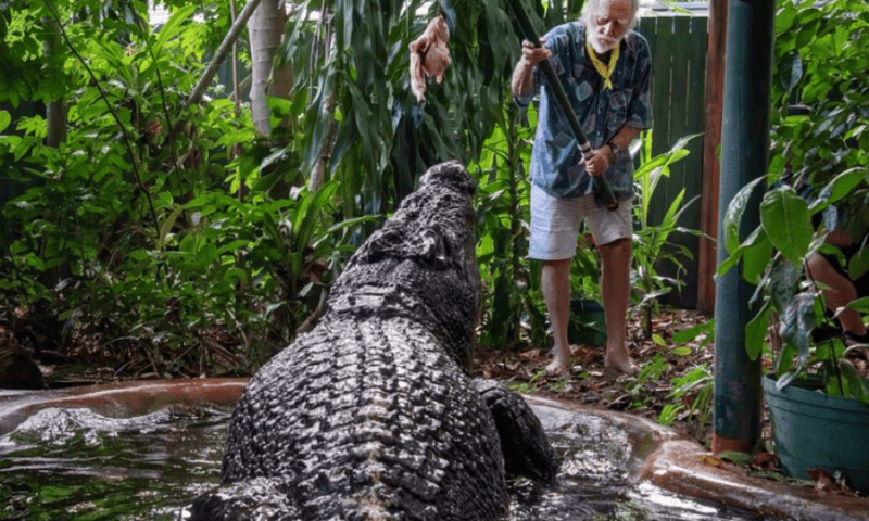 World’s Largest Captive Crocodile Cassius Dies in Australia