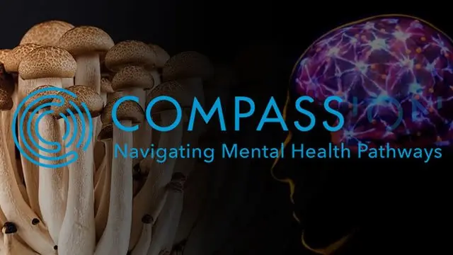 COMPASS Pathways (NASDAQ:CMPS) Issues Quarterly Earnings Results