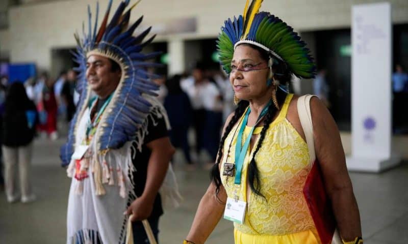 At U.N. Summit, Historic Agreement to Give Indigenous Groups Voice on Nature Conservation Decisions